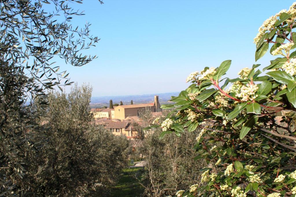 Locanda La Mandragola Bed & Breakfast San Gimignano Exterior photo