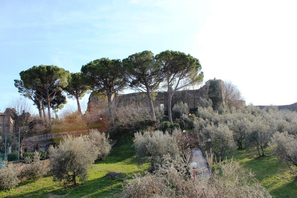 Locanda La Mandragola Bed & Breakfast San Gimignano Exterior photo